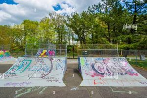 Edgewood Skate Park: Your Ultimate Skate Spot Learn to Surf & Skate: A Beginner's Step-by-Step Guide Edgewood Skate Park: Your Ultimate Skate Spot | Learn to Surf & Skate: A Beginner's Step-by-Step Guide