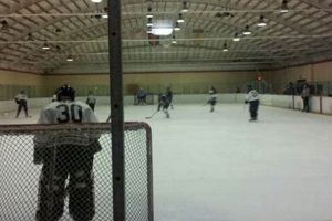 Best Ontario Ice Skate Rinks: Guide + More! Safem Fabrication - Precision Engineering & Custom Manufacturing Solutions Best Ontario Ice Skate Rinks: Guide + More! | Safem Fabrication - Precision Engineering & Custom Manufacturing Solutions