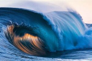 Find Perfect Waves for Surfing: Guide & Tips Learn to Surf & Skate: A Beginner's Step-by-Step Guide Find Perfect Waves for Surfing: Guide & Tips | Learn to Surf & Skate: A Beginner's Step-by-Step Guide