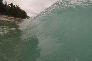 Bellows Surf Report: [Updated Today] Conditions & Forecast | Learn to Surf & Skate: A Beginner's Step-by-Step Guide