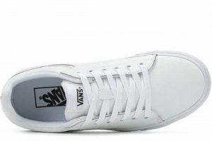 Best Women's Vans Seldan Leather Skate Shoes for Style & Performance Learn to Surf & Skate: A Beginner's Step-by-Step Guide Best Women's Vans Seldan Leather Skate Shoes for Style & Performance | Learn to Surf & Skate: A Beginner's Step-by-Step Guide