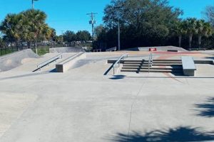 Explore Apollo Beach Skate Park: A Rider's Paradise! Learn to Surf & Skate: A Beginner's Step-by-Step Guide Explore Apollo Beach Skate Park: A Rider's Paradise! | Learn to Surf & Skate: A Beginner's Step-by-Step Guide