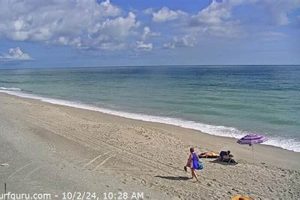 Live: Satellite Beach Surf Cam - See the Waves Now! Learn to Surf & Skate: A Beginner's Step-by-Step Guide Live: Satellite Beach Surf Cam - See the Waves Now! | Learn to Surf & Skate: A Beginner's Step-by-Step Guide