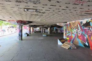 London's Iconic Skate Park Southbank: A Skater's Guide Learn to Surf & Skate: A Beginner's Step-by-Step Guide London's Iconic Skate Park Southbank: A Skater's Guide | Learn to Surf & Skate: A Beginner's Step-by-Step Guide