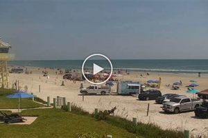 Live NSB Surf Cam: See New Smyrna Beach Surf Now! Learn to Surf & Skate: A Beginner's Step-by-Step Guide Live NSB Surf Cam: See New Smyrna Beach Surf Now! | Learn to Surf & Skate: A Beginner's Step-by-Step Guide