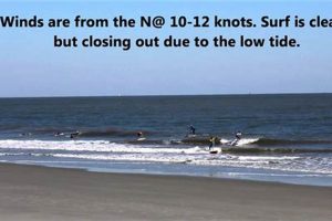 Your Guide: Folly Beach Surf Report - Check Conditions Now! Learn to Surf & Skate: A Beginner's Step-by-Step Guide Your Guide: Folly Beach Surf Report - Check Conditions Now! | Learn to Surf & Skate: A Beginner's Step-by-Step Guide