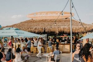 Tobay Beach Surf Shack: Rentals, Lessons & More! Learn to Surf & Skate: A Beginner's Step-by-Step Guide Tobay Beach Surf Shack: Rentals, Lessons & More! | Learn to Surf & Skate: A Beginner's Step-by-Step Guide