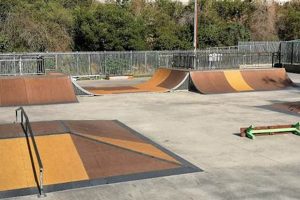 Your Guide to South Pasadena Skate Park Fun! Learn to Surf & Skate: A Beginner's Step-by-Step Guide Your Guide to South Pasadena Skate Park Fun! | Learn to Surf & Skate: A Beginner's Step-by-Step Guide