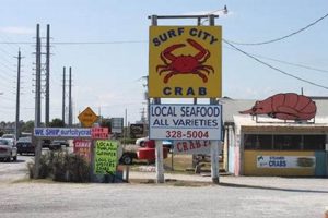 Best Seafood Restaurants in Surf City, [Year] - Guide | Learn to Surf & Skate: A Beginner's Step-by-Step Guide