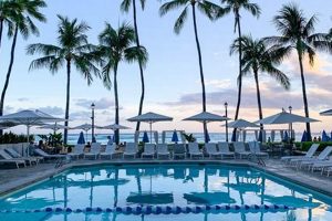 Stay at Moana Surfer Hotel: Your Dream Surf Getaway! Learn to Surf & Skate: A Beginner's Step-by-Step Guide Stay at Moana Surfer Hotel: Your Dream Surf Getaway! | Learn to Surf & Skate: A Beginner's Step-by-Step Guide