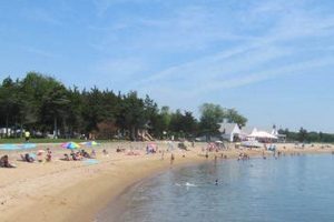 Your Guide: Surf Club Beach Madison CT - Fun & Sun! Learn to Surf & Skate: A Beginner's Step-by-Step Guide Your Guide: Surf Club Beach Madison CT - Fun & Sun! | Learn to Surf & Skate: A Beginner's Step-by-Step Guide