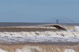 Matagorda Surf Report Learn to Surf & Skate: A Beginner's Step-by-Step Guide Matagorda Surf Report | Learn to Surf & Skate: A Beginner's Step-by-Step Guide
