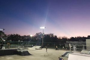 Discover: Fossil Park Skate Park Fun & Facts! Learn to Surf & Skate: A Beginner's Step-by-Step Guide Discover: Fossil Park Skate Park Fun & Facts! | Learn to Surf & Skate: A Beginner's Step-by-Step Guide