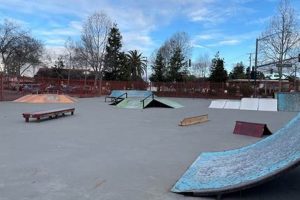 Campbell Skate Park Fun: Your Guide + More! Learn to Surf & Skate: A Beginner's Step-by-Step Guide Campbell Skate Park Fun: Your Guide + More! | Learn to Surf & Skate: A Beginner's Step-by-Step Guide