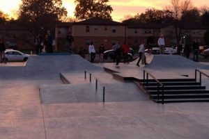 Best Skate Parks in St. Louis: Your Ultimate Guide Learn to Surf & Skate: A Beginner's Step-by-Step Guide Best Skate Parks in St. Louis: Your Ultimate Guide | Learn to Surf & Skate: A Beginner's Step-by-Step Guide