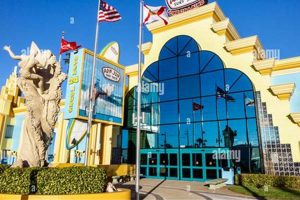Visit Ron Jon Surf Shop Cocoa Beach, FL | [Year] Guide | Learn to Surf & Skate: A Beginner's Step-by-Step Guide