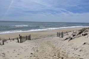 Your Ultimate Surf City Bay Beach Guide - [Location Name] Awaits! | Learn to Surf & Skate: A Beginner's Step-by-Step Guide