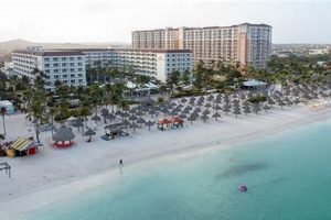 Aruba Surf Club: Marriott Rentals + Deals! Learn to Surf & Skate: A Beginner's Step-by-Step Guide Aruba Surf Club: Marriott Rentals + Deals! | Learn to Surf & Skate: A Beginner's Step-by-Step Guide
