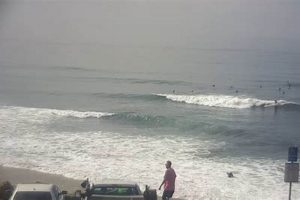 La Jolla Surf Cam: See the Waves Now! Learn to Surf & Skate: A Beginner's Step-by-Step Guide La Jolla Surf Cam: See the Waves Now! | Learn to Surf & Skate: A Beginner's Step-by-Step Guide