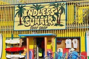 Ocean City's Endless Summer Surf Shop: Your Surf HQ! Learn to Surf & Skate: A Beginner's Step-by-Step Guide Ocean City's Endless Summer Surf Shop: Your Surf HQ! | Learn to Surf & Skate: A Beginner's Step-by-Step Guide