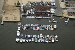 Surf City Marina NJ: Your Gateway to LBI Boating Fun Learn to Surf & Skate: A Beginner's Step-by-Step Guide Surf City Marina NJ: Your Gateway to LBI Boating Fun | Learn to Surf & Skate: A Beginner's Step-by-Step Guide
