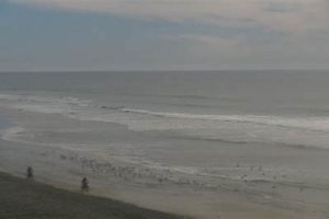 Your Ponto Surf Report: Conditions + Best Spots Learn to Surf & Skate: A Beginner's Step-by-Step Guide Your Ponto Surf Report: Conditions + Best Spots | Learn to Surf & Skate: A Beginner's Step-by-Step Guide