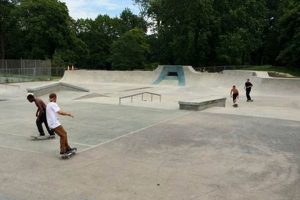Albany Skate Park Guide: Best Spots & More Learn to Surf & Skate: A Beginner's Step-by-Step Guide Albany Skate Park Guide: Best Spots & More | Learn to Surf & Skate: A Beginner's Step-by-Step Guide