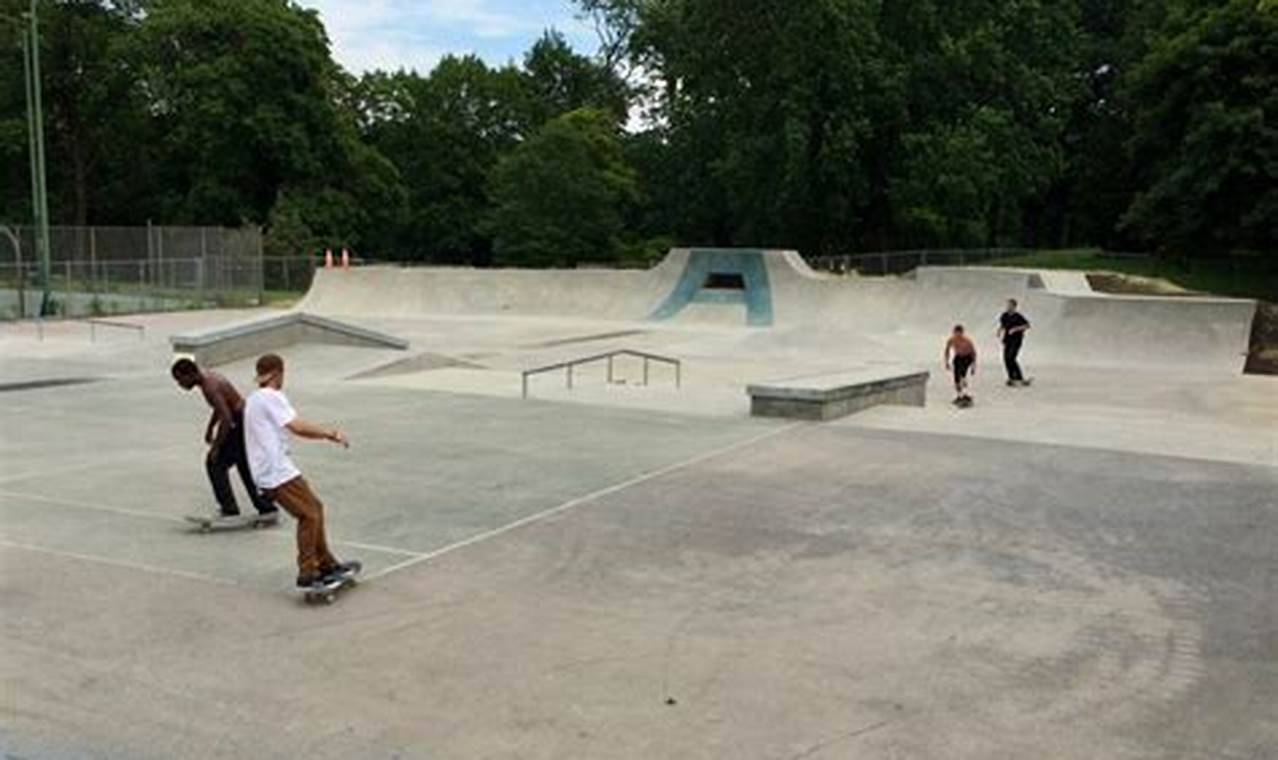 Albany Skate Park Guide: Best Spots & More Learn to Surf & Skate: A Beginner's Step-by-Step Guide Albany Skate Park Guide: Best Spots & More | Learn to Surf & Skate: A Beginner's Step-by-Step Guide