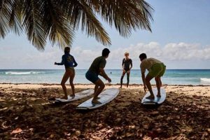 Learn Surf Lessons Barbados: Best Waves & Tips Learn to Surf & Skate: A Beginner's Step-by-Step Guide Learn Surf Lessons Barbados: Best Waves & Tips | Learn to Surf & Skate: A Beginner's Step-by-Step Guide