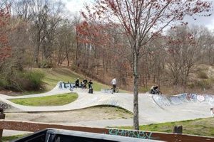 Best Skate Parks in Providence: A Local's Guide Learn to Surf & Skate: A Beginner's Step-by-Step Guide Best Skate Parks in Providence: A Local's Guide | Learn to Surf & Skate: A Beginner's Step-by-Step Guide