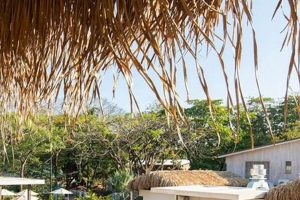 Nosara Surf Hotel Costa Rica: Your Perfect Wave Awaits! Learn to Surf & Skate: A Beginner's Step-by-Step Guide Nosara Surf Hotel Costa Rica: Your Perfect Wave Awaits! | Learn to Surf & Skate: A Beginner's Step-by-Step Guide