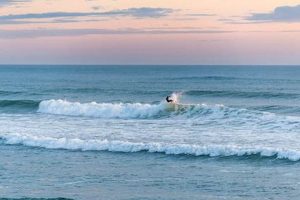 Westport Washington Surf Report Learn to Surf & Skate: A Beginner's Step-by-Step Guide Westport Washington Surf Report | Learn to Surf & Skate: A Beginner's Step-by-Step Guide