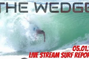 Your Go-To Surf Report at The Wedge Guide Online Learn to Surf & Skate: A Beginner's Step-by-Step Guide Your Go-To Surf Report at The Wedge Guide Online | Learn to Surf & Skate: A Beginner's Step-by-Step Guide