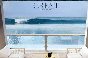 Join Crest Surf Clubs Today! Learn to Surf & Skate: A Beginner's Step-by-Step Guide Join Crest Surf Clubs Today! | Learn to Surf & Skate: A Beginner's Step-by-Step Guide