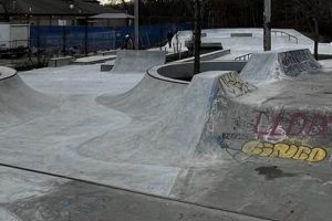 Best Skate Park Providence RI: Thrills & More! Learn to Surf & Skate: A Beginner's Step-by-Step Guide Best Skate Park Providence RI: Thrills & More! | Learn to Surf & Skate: A Beginner's Step-by-Step Guide