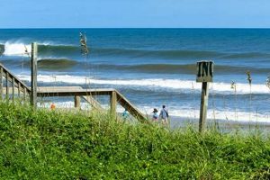 Surf Cam Wrightsville Beach Learn to Surf & Skate: A Beginner's Step-by-Step Guide Surf Cam Wrightsville Beach | Learn to Surf & Skate: A Beginner's Step-by-Step Guide