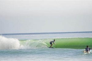 Your Delray Beach Surf Report: [Updated Today] | Learn to Surf & Skate: A Beginner's Step-by-Step Guide