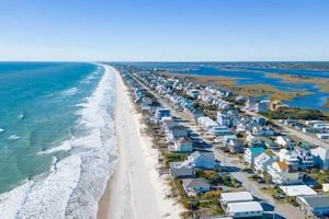 Michelangelo's Surf City NC: Art & Waves Await! Learn to Surf & Skate: A Beginner's Step-by-Step Guide Michelangelo's Surf City NC: Art & Waves Await! | Learn to Surf & Skate: A Beginner's Step-by-Step Guide