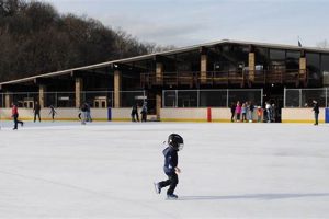 Your North Park Ice Skate Guide: Gear, Safety & Fun! Learn to Surf & Skate: A Beginner's Step-by-Step Guide Your North Park Ice Skate Guide: Gear, Safety & Fun! | Learn to Surf & Skate: A Beginner's Step-by-Step Guide