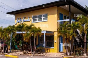 Your Surf & Sand Motel Clearwater Beach, FL Getaway! Learn to Surf & Skate: A Beginner's Step-by-Step Guide Your Surf & Sand Motel Clearwater Beach, FL Getaway! | Learn to Surf & Skate: A Beginner's Step-by-Step Guide