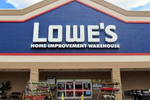 Your Surf City Lowe's: Home Improvement & More! Learn to Surf & Skate: A Beginner's Step-by-Step Guide Your Surf City Lowe's: Home Improvement & More! | Learn to Surf & Skate: A Beginner's Step-by-Step Guide