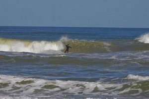 Your Packery Channel Surf Report: Waves & More! Learn to Surf & Skate: A Beginner's Step-by-Step Guide Your Packery Channel Surf Report: Waves & More! | Learn to Surf & Skate: A Beginner's Step-by-Step Guide