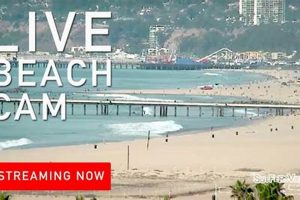 Venice Beach CA Surf Report: Your Wave Guide Today! Learn to Surf & Skate: A Beginner's Step-by-Step Guide Venice Beach CA Surf Report: Your Wave Guide Today! | Learn to Surf & Skate: A Beginner's Step-by-Step Guide