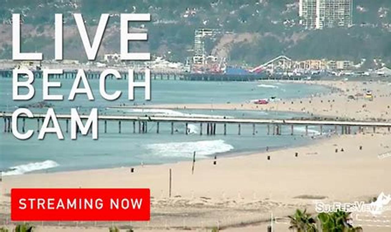 Venice Beach CA Surf Report: Your Wave Guide Today! Learn to Surf & Skate: A Beginner's Step-by-Step Guide Venice Beach CA Surf Report: Your Wave Guide Today! | Learn to Surf & Skate: A Beginner's Step-by-Step Guide