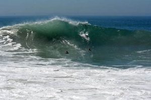 Your Guide: The Wedge Newport Surf Report | Now & Forecast Learn to Surf & Skate: A Beginner's Step-by-Step Guide Your Guide: The Wedge Newport Surf Report | Now & Forecast | Learn to Surf & Skate: A Beginner's Step-by-Step Guide