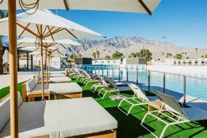 Your Guide to Palms Springs Surf Club Fun & More Learn to Surf & Skate: A Beginner's Step-by-Step Guide Your Guide to Palms Springs Surf Club Fun & More | Learn to Surf & Skate: A Beginner's Step-by-Step Guide