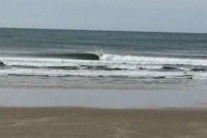 Your Cannon Beach Surf Report: [Today's Conditions] | Learn to Surf & Skate: A Beginner's Step-by-Step Guide