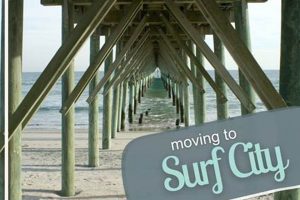 Art Meets Waves: Michelangelo's Surf City Fusion Learn to Surf & Skate: A Beginner's Step-by-Step Guide Art Meets Waves: Michelangelo's Surf City Fusion | Learn to Surf & Skate: A Beginner's Step-by-Step Guide