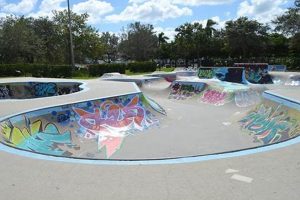 Sarasota Skate Park: Your Guide to the Best Local Spots Learn to Surf & Skate: A Beginner's Step-by-Step Guide Sarasota Skate Park: Your Guide to the Best Local Spots | Learn to Surf & Skate: A Beginner's Step-by-Step Guide