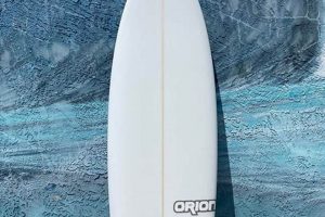 Your Guide: Red Dog Surf Shop Surf Report Today Learn to Surf & Skate: A Beginner's Step-by-Step Guide Your Guide: Red Dog Surf Shop Surf Report Today | Learn to Surf & Skate: A Beginner's Step-by-Step Guide